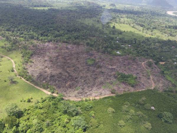 El reconocimiento aéreo identificó minería ilegal y nuevas vías clandestinas dentro de la Reserva del Hombre y Biosfera del Río Plátano, en el departamento de Gracias a Dios.