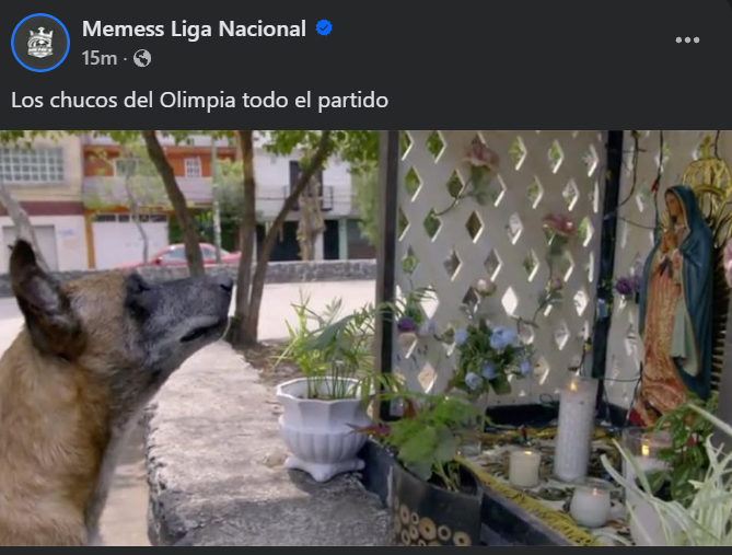 Burlas por todos lados: Los memes tras las eliminación de Olimpia en Liga Nacional