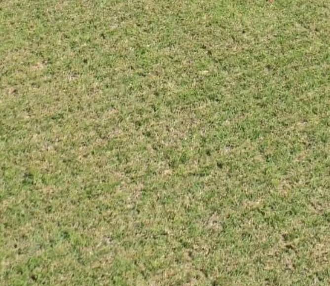 Así quedó el estadio Nacional tras concierto de Luis Miguel