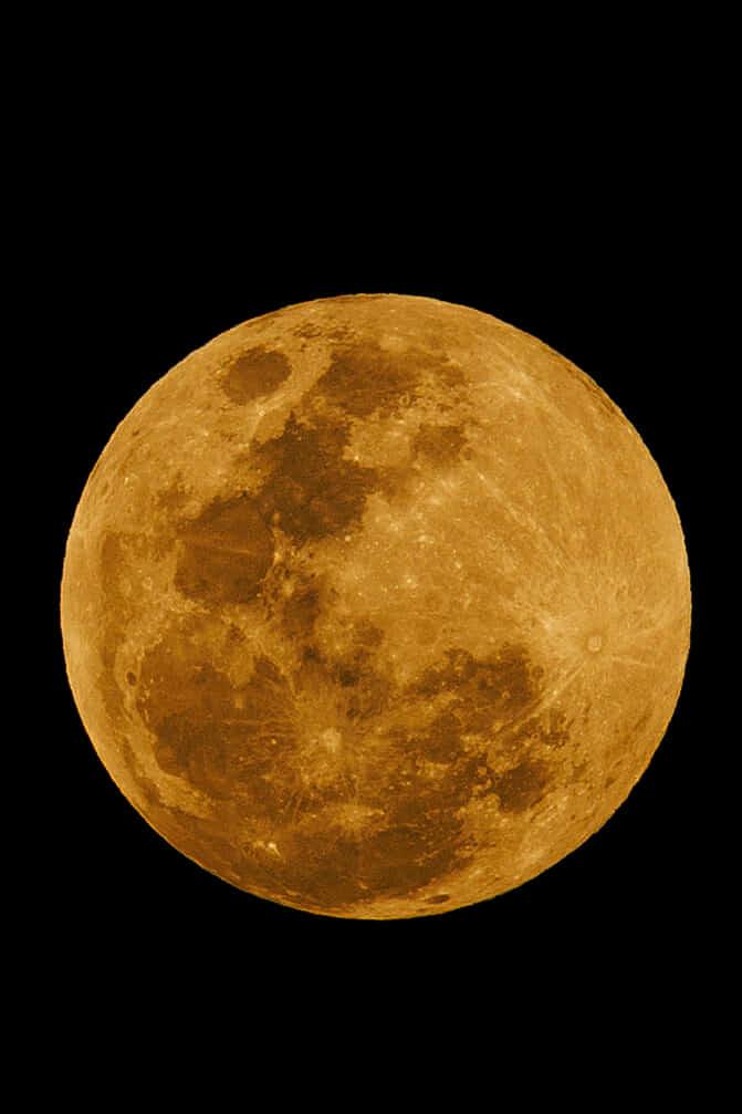 Bellas chicas cautivaron, jugador salió herido y la bronca de Real España en el Morazán