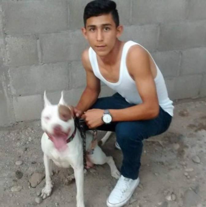 Un soñador y amante de los animales: Así era el jugador de Dorados de Sinaloa asesinado  