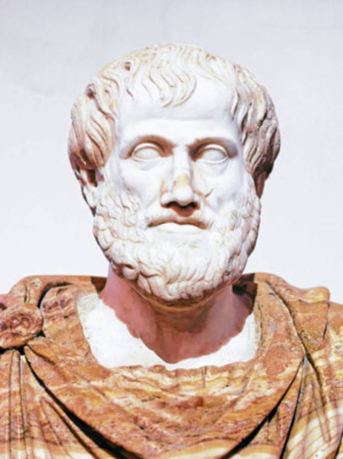 Aristóteles el inteligente