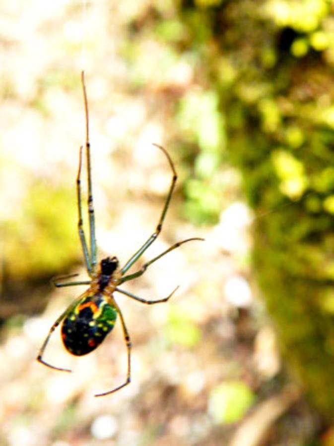 Fotos de los lectores para el Día de la Tierra