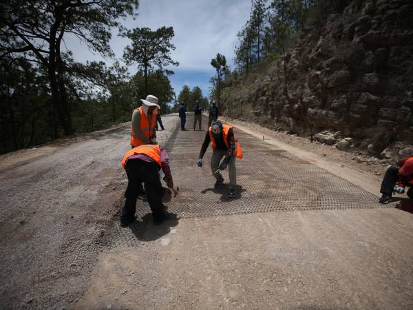 De cada 100 personas que trabajan en el sector privado, 44 no recibieron el salario mínimo en 2025.