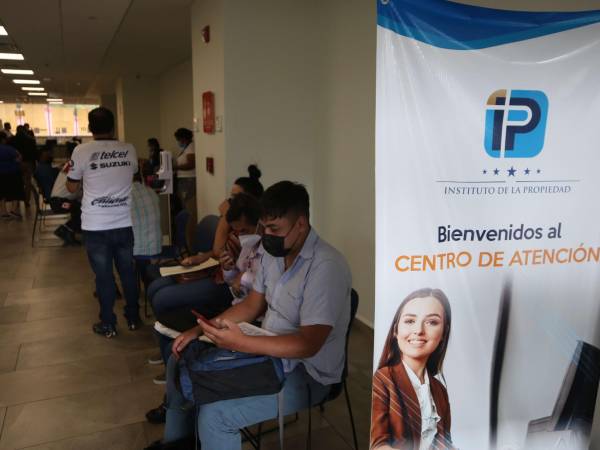 <span class=mln_uppercase_mln>Además del sitio web, el Instituto de la Propiedad también brinda información en la línea telefónica 2240-1500.</span>