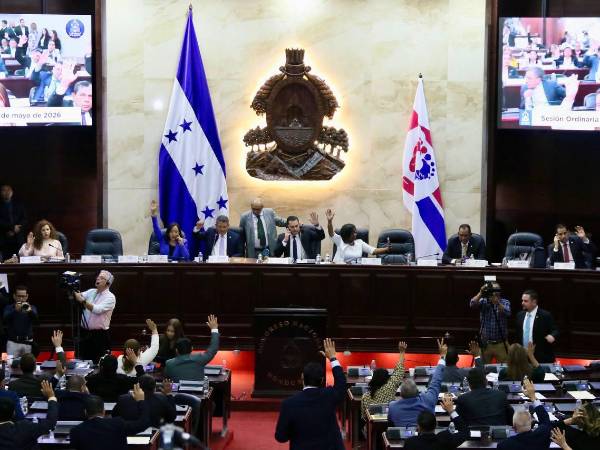 Pleno del Congreso Nacional durante la sesión en la que se discutió la prórroga del proceso de selección de aspirantes al CNE y al TJE.