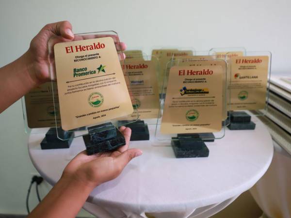 Los reconocimientos fueron entregados a todas las escuelas que formaron parte de la campaña Escuelas Amigables con el Ambiente.