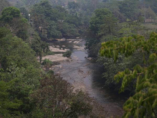 La Biósfera del Río Plátano fue catalogada por la Unesco como Patrimonio de la Humanidad. Es una reserva protegida por la ley, pero solo en papel. Pueblos indígenas denuncian incendios provocados, tala y deforestación masiva.