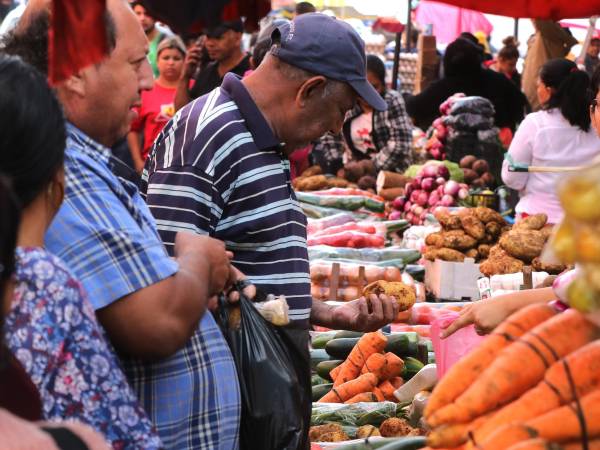 Los precios de los productos de consumo básico han experimentado fuertes alzas por el extenso verano y por el impacto de los combustibles.