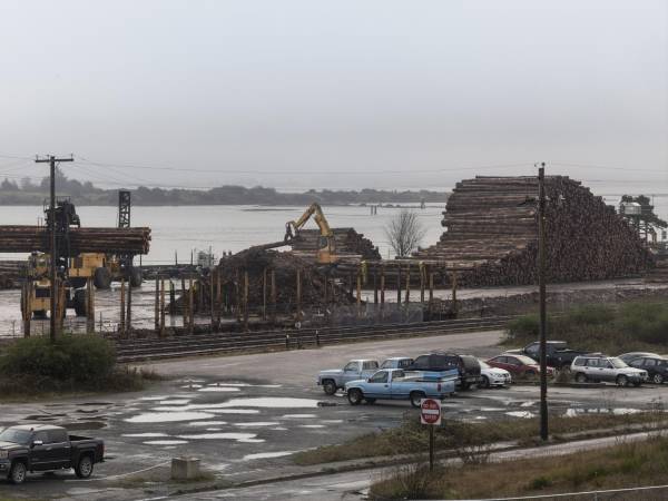 La tala conlleva la promesa de una vida más próspera. Troncos para su envío en un puerto en North Bend, Oregon