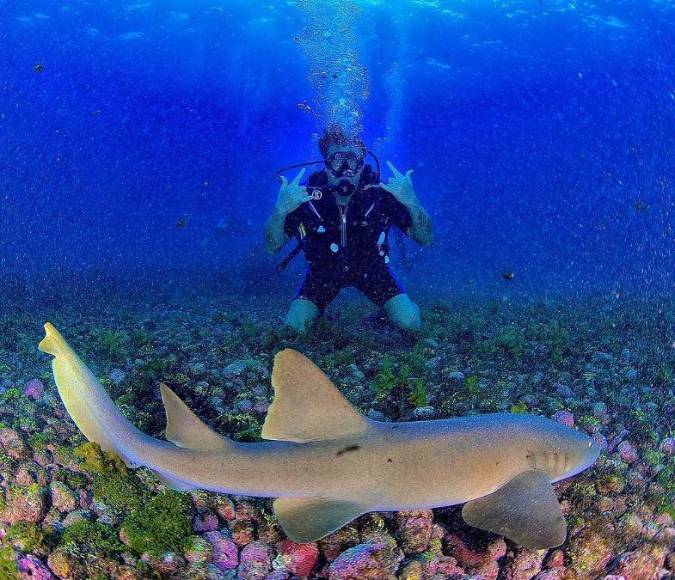 La trágica muerte de Rafa Puglisi, “el dentista de los famosos” al golpearse en la piscina