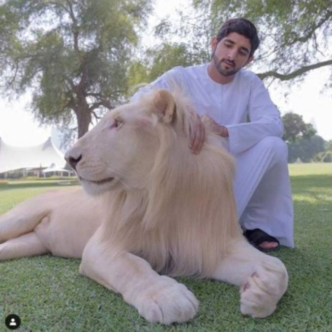 Así es la exótica vida de Sheikh Hamdan, el príncipe de Dubai más codiciado del mundo