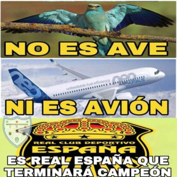 Los memes que dejó la derrota de Marathón ante Real España de partido de repechaje