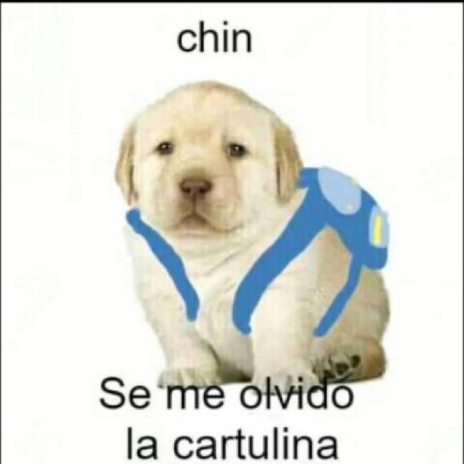 Los divertidos memes del perrito que han causado furor en Facebook