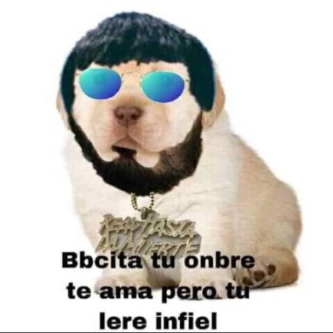 Los divertidos memes del perrito que han causado furor en Facebook