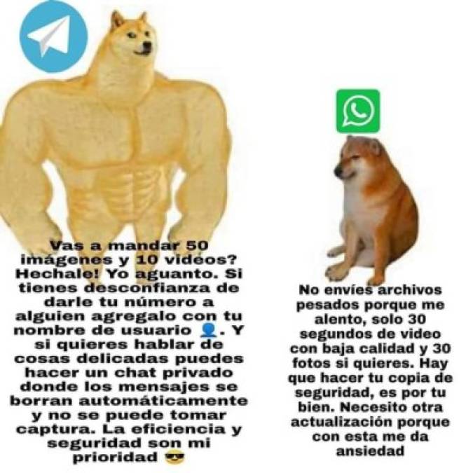 Nuevos términos de Whatsapp provocan lluvia de memes