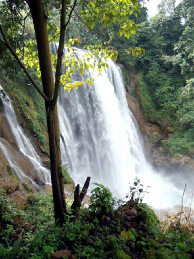 Fotos de los lectores para el Día de la Tierra
