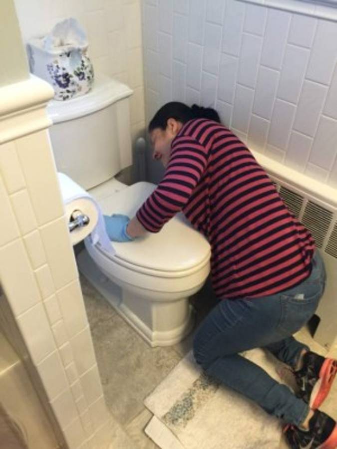 Hondureños ponen en alto nombre de su patria con su trabajo