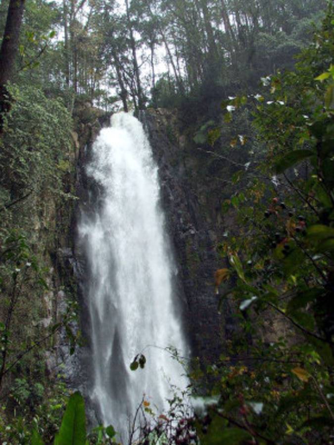 Fotos de los lectores para el Día de la Tierra