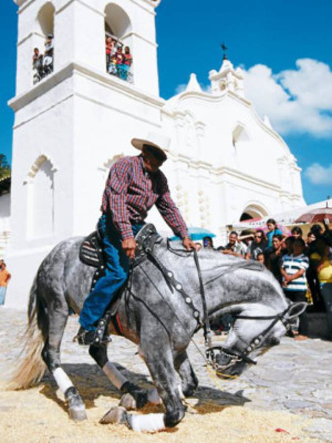 Los caballos tienen una escuela en Talanga