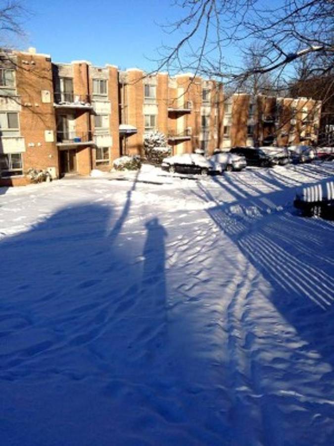 Así viven la nevada los migrantes hondureños en Estados Unidos