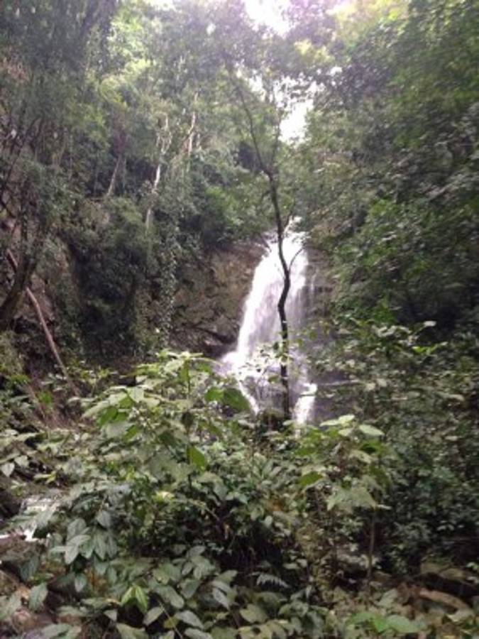 Así se vive la Semana Santa en Honduras