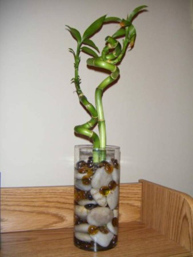 Atraiga la prosperidad