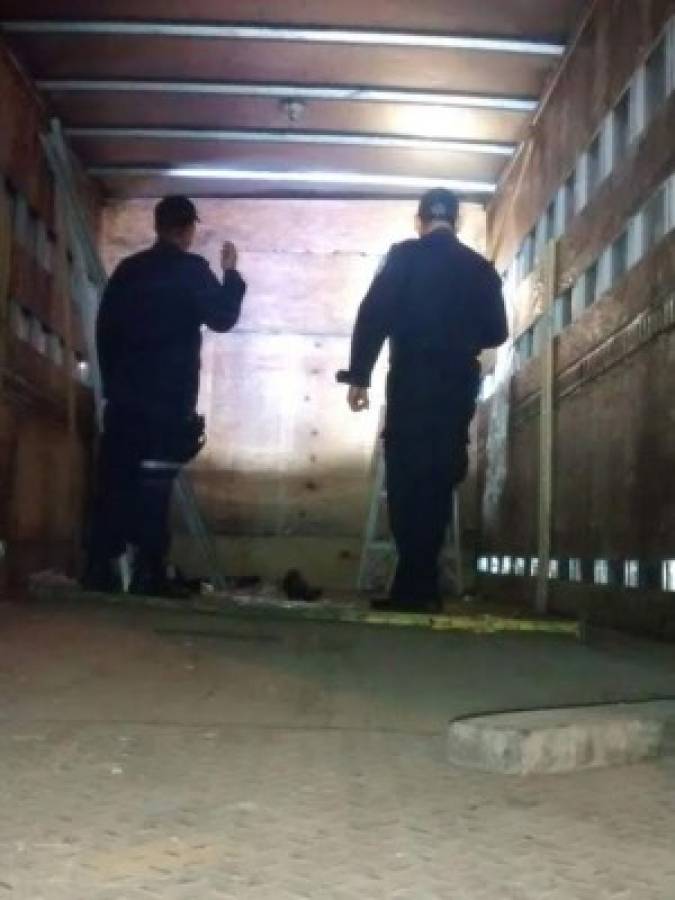 Policía incauta 719 kilos de marihuana en camión
