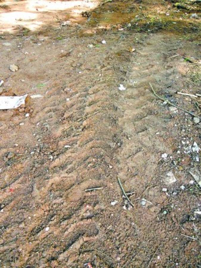 Honduras: MP inicia investigación de misterioso entierro de medicamentos