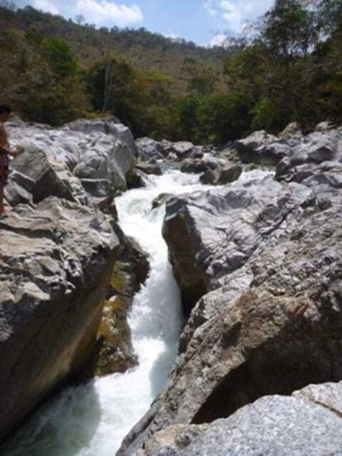 Olancho, la tierra del vino de Coyol