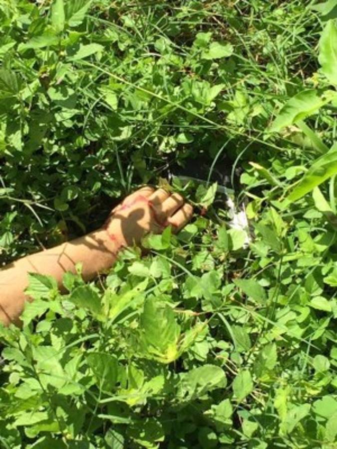 La pistola utilizada supuestamente por el joven quedó cerca de su mano en un área llena de maleza, foto: El Heraldo/Sucesos de Honduras/Noticias de Honduras/El Heraldo Honduras.