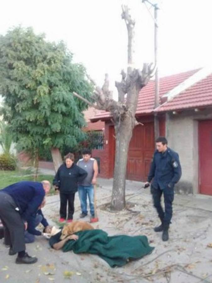 Viral: Tony, el perro que 'abrazó' a su amo accidentado en Argentina