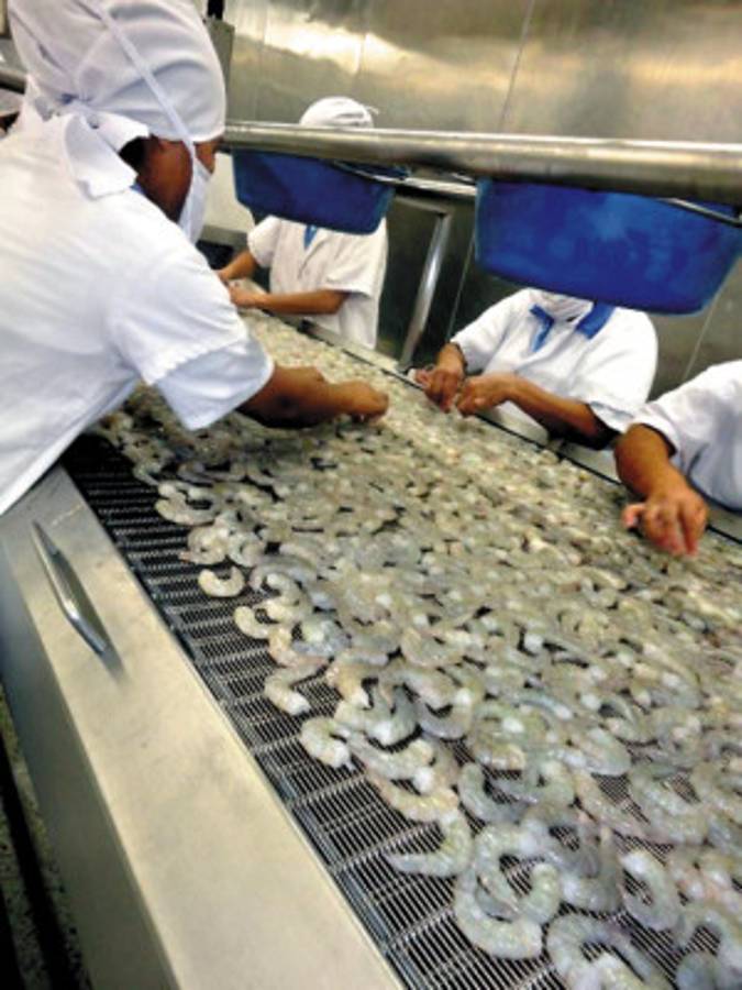 Evalúan el mercado eléctrico regional