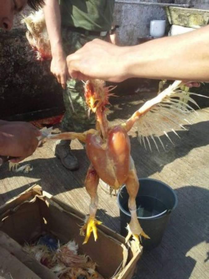 Los memes hacen pedazo a Motagua luego de perder el clásico ante Olimpia