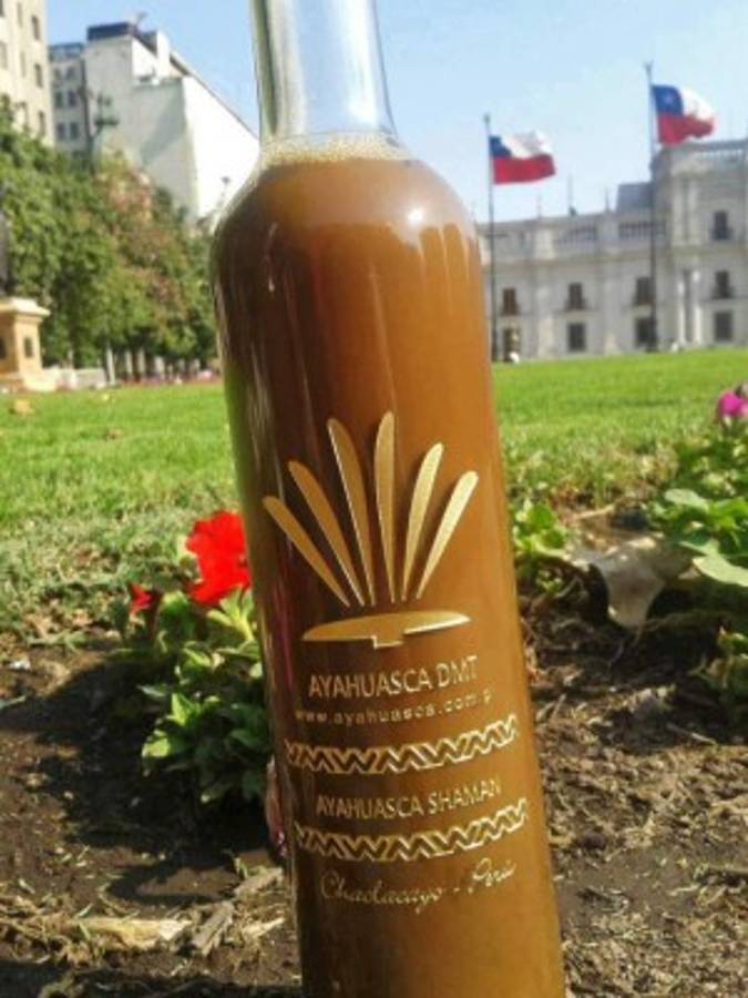 La droga amazónica ayahuasca seduce a celebridades y psiquiatras en EEUU   