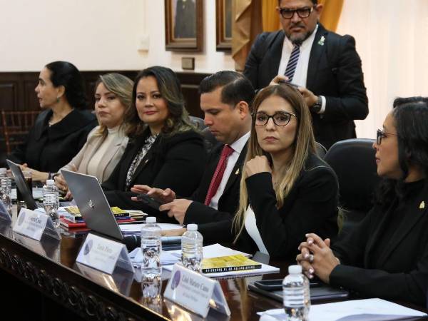 ​La estrategia de la comisión de Investigación ahora apunta hacia el fortalecimiento del informe final mediante el testimonio de terceros.