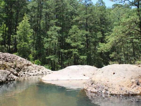 Autoridades realizaran investigación en la parte alta del río Guacerique tras denuncia por desvío de agua