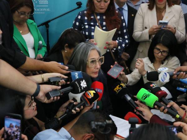 La diputada liberal Maribel Espinoza durante sesión extraordinaria.