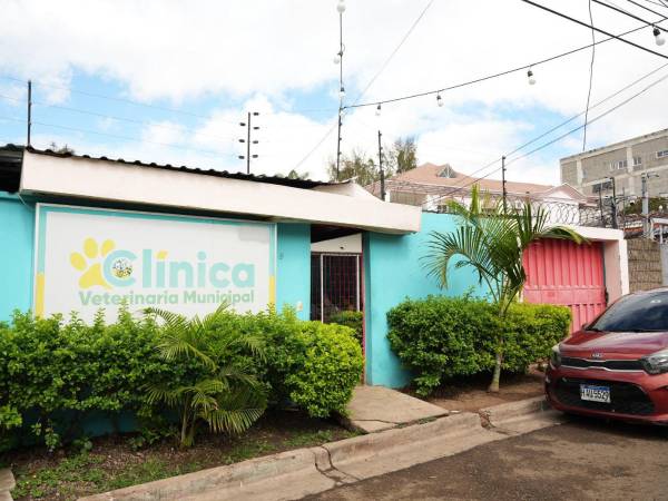 Veterinaria municipal asistiió a 2,858 mascotas en lo que va del año