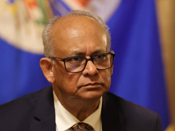 El secretario general de la Organización de los Estados Americanos (OEA), Albert R. Ramdin, habla durante un entrevista con EFE este viernes, en Washington (Estados Unidos).