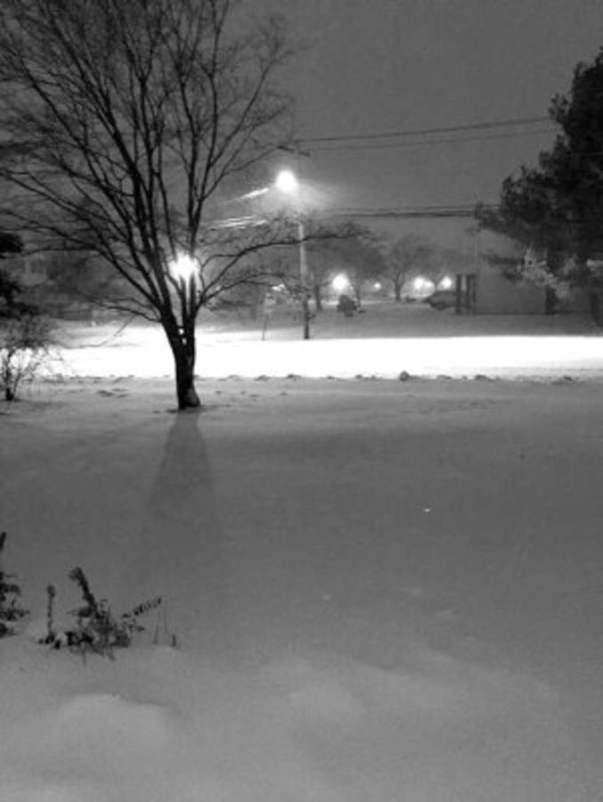 Así viven la nevada los migrantes hondureños en Estados Unidos