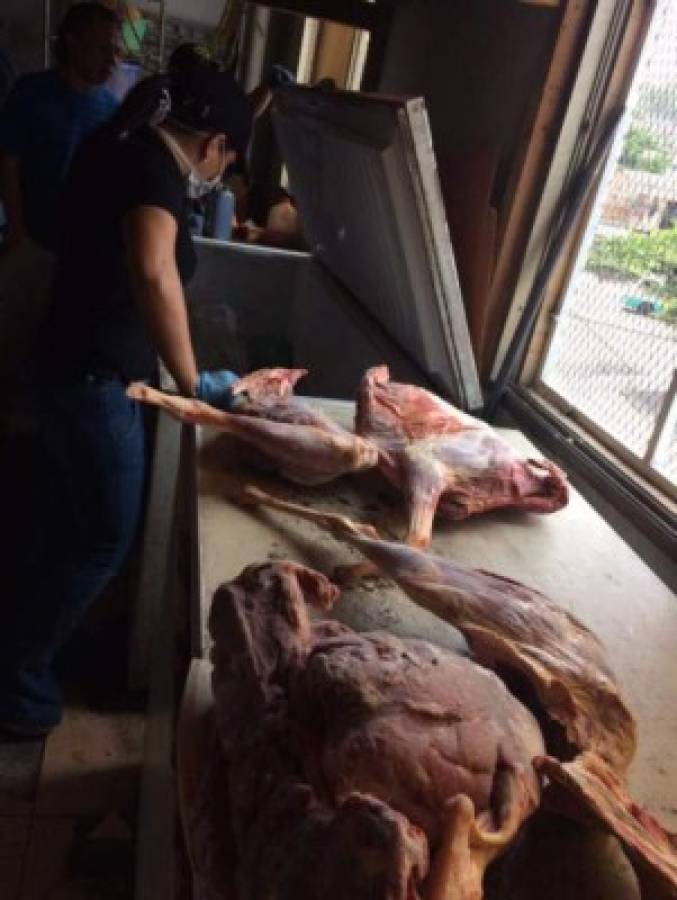 Honduras: Hasta cabeza de perro hallaron en restaurantes chinos