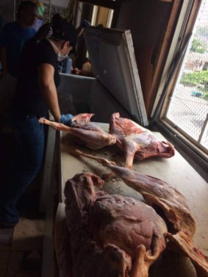 Fiscalía confirma hallazgo de carne de perro en restaurante chino en la capital de Honduras