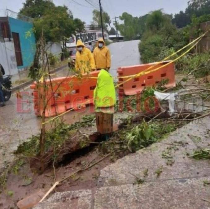 FOTOS: Derrumbes e inundaciones, los primeros efectos de Eta en la capital