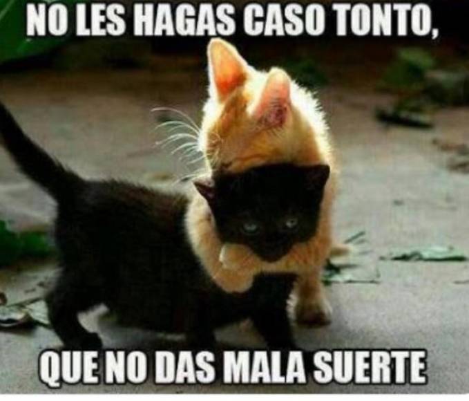 ¿Un día de mala suerte? Los mejores memes por ser viernes 13