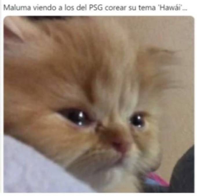 Los memes que dejó el trío amoroso entre Maluma, Nathalia Barulich y Neymar