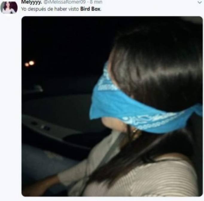 Destrozan a Sandra Bullock con divertidos memes de la película Bird Box: A ciegas