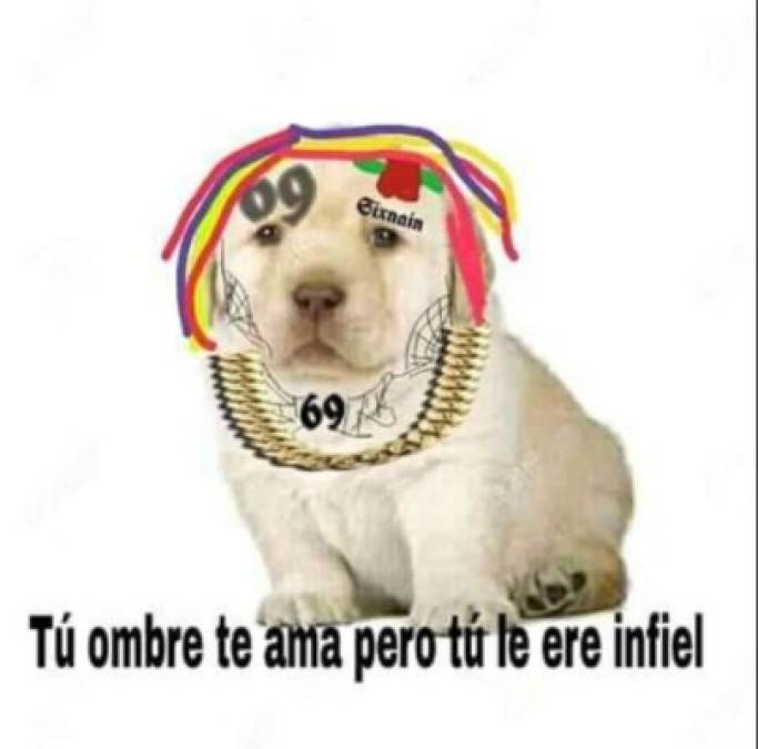 Los divertidos memes del perrito que han causado furor en Facebook