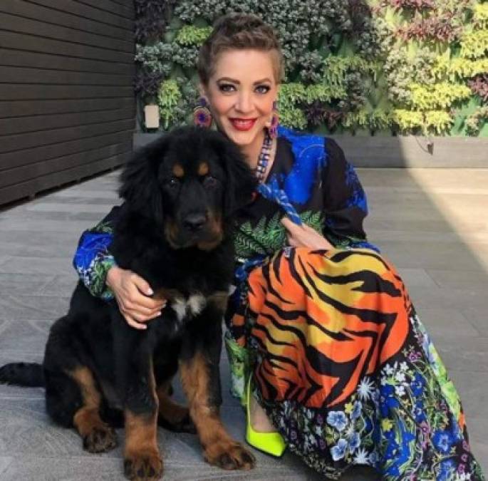 FOTOS: Cedric, el perro que acompañó a Edith González en sus últimos meses de vida