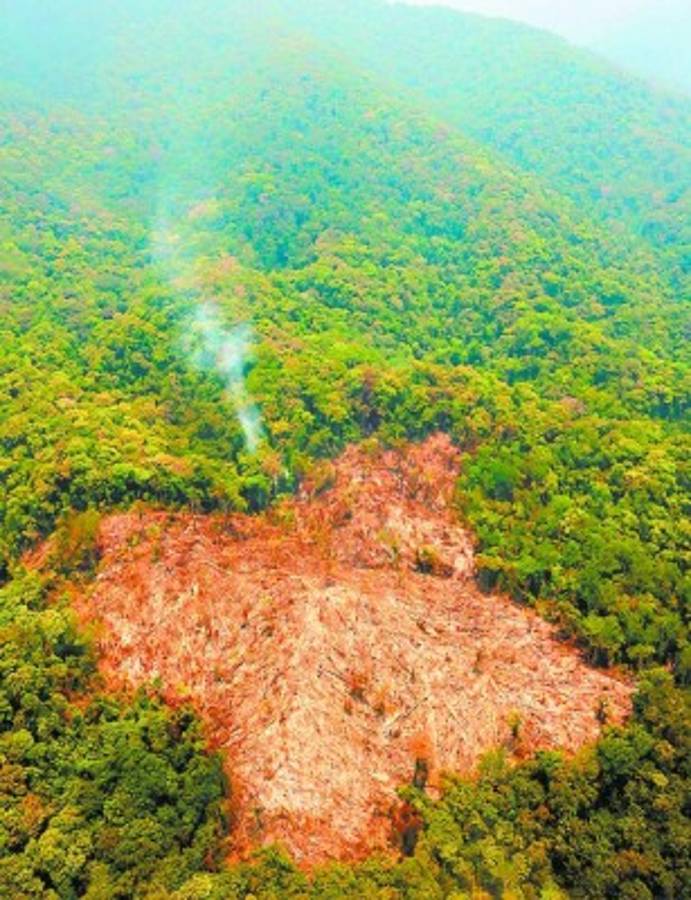 Instalarán Comisión contra los Femicidios en Honduras